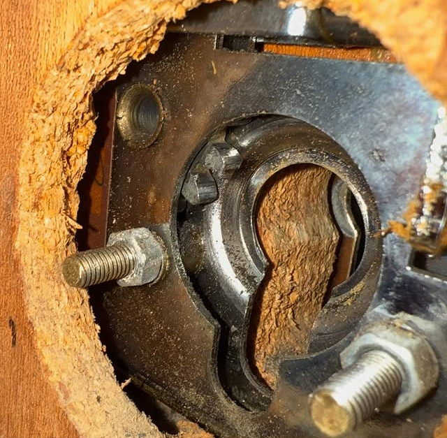 Seguridad para la vivienda