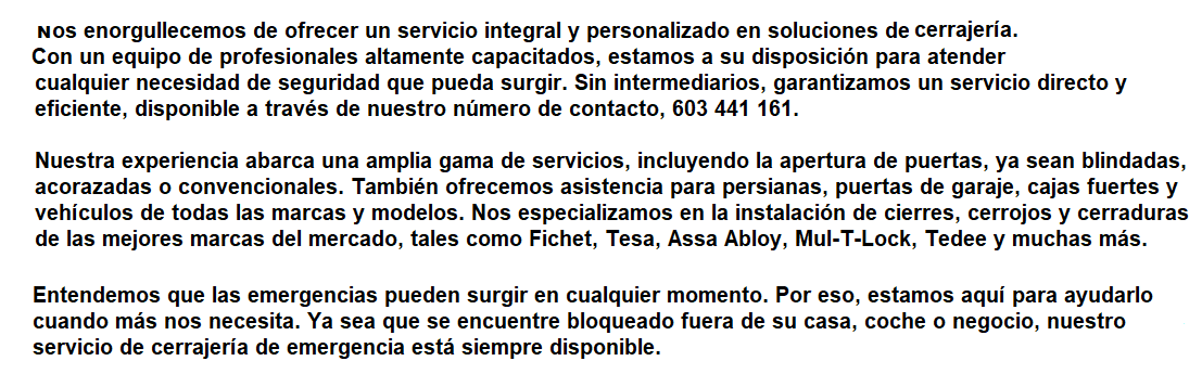 Equipo de Cerrajeros RapidTecnic Sevilla